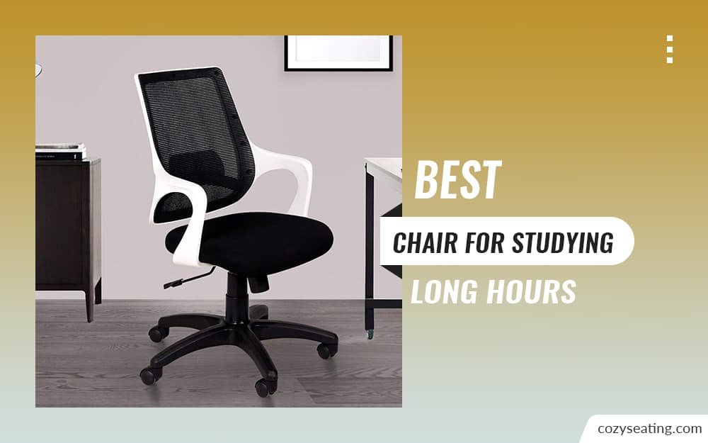 10 Best Chair for Studying Long Hours